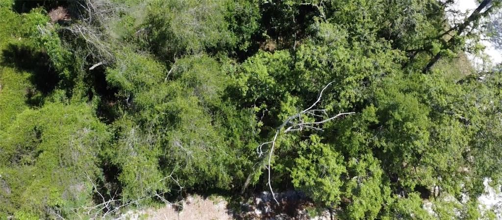 待售: $10,000 (0.06 acres)