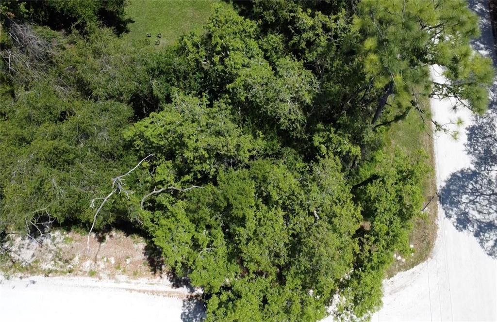 待售: $10,000 (0.06 acres)