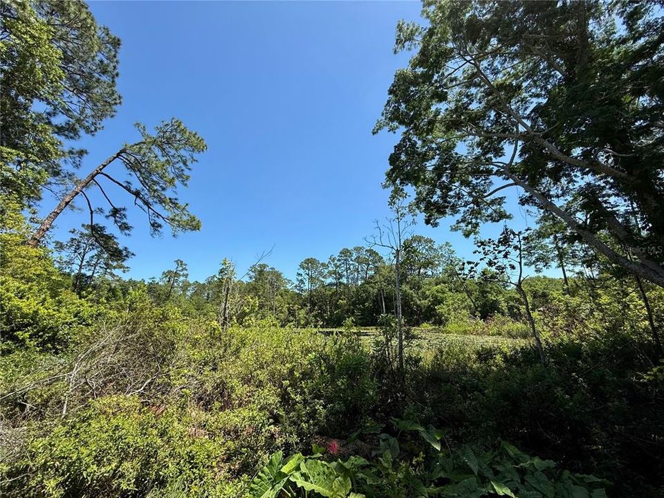 待售: $260,000 (3 贝兹, 2 浴室, 1264 平方英尺)