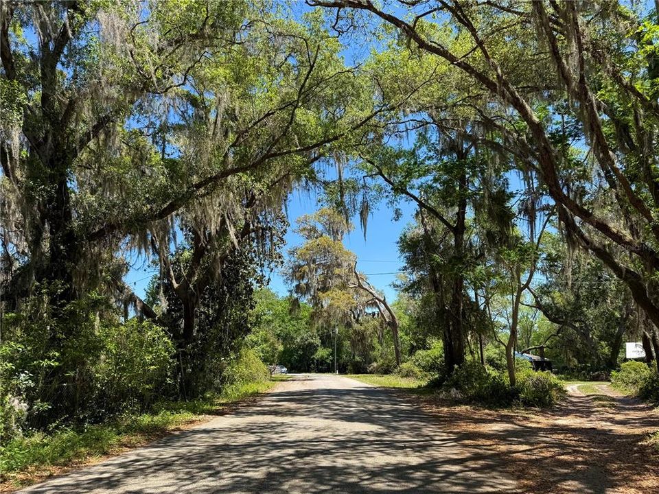 待售: $260,000 (3 贝兹, 2 浴室, 1264 平方英尺)