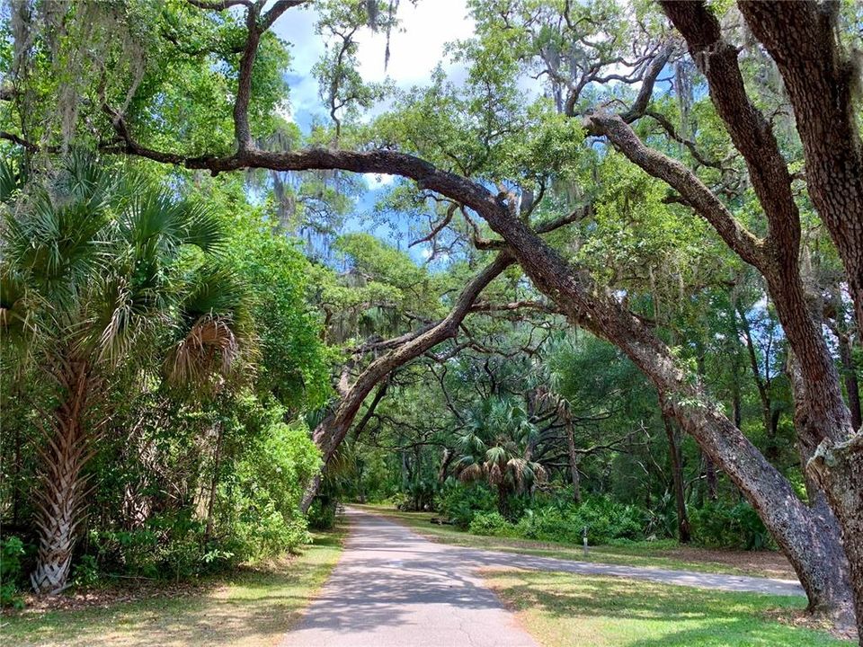 待售: $260,000 (3 贝兹, 2 浴室, 1264 平方英尺)