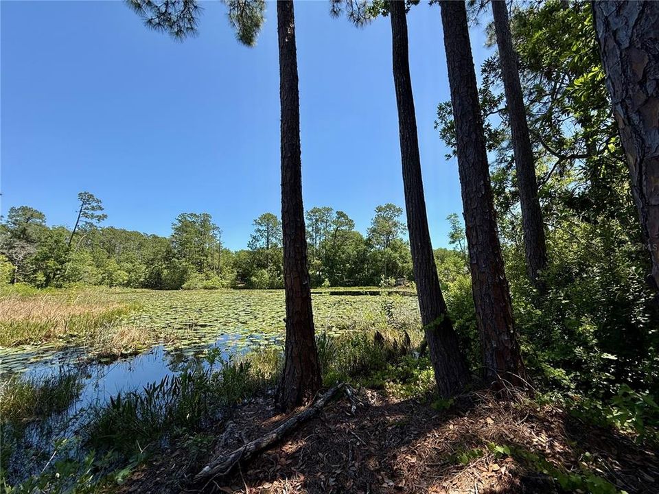 待售: $260,000 (3 贝兹, 2 浴室, 1264 平方英尺)