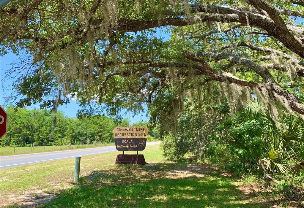 待售: $260,000 (3 贝兹, 2 浴室, 1264 平方英尺)