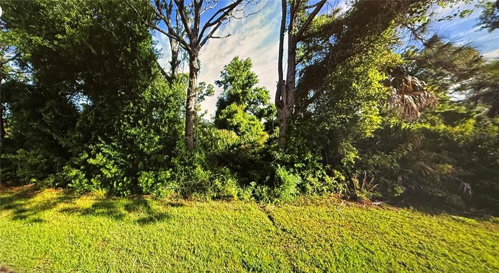 For Sale: $22,000 (0.23 acres)