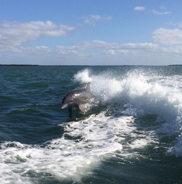 Под контрактом: $475,000 (2 спален, 1 ванн, 832 Квадратных фут)