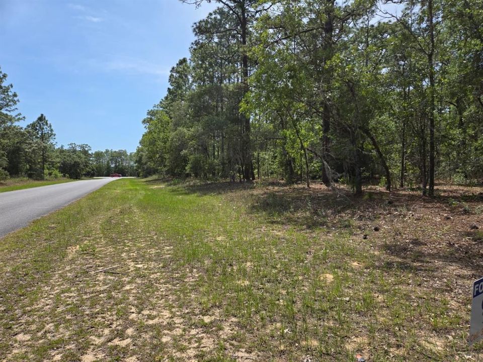 For Sale: $29,900 (0.24 acres)