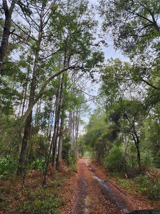 Recently Sold: $12,500 (0.48 acres)