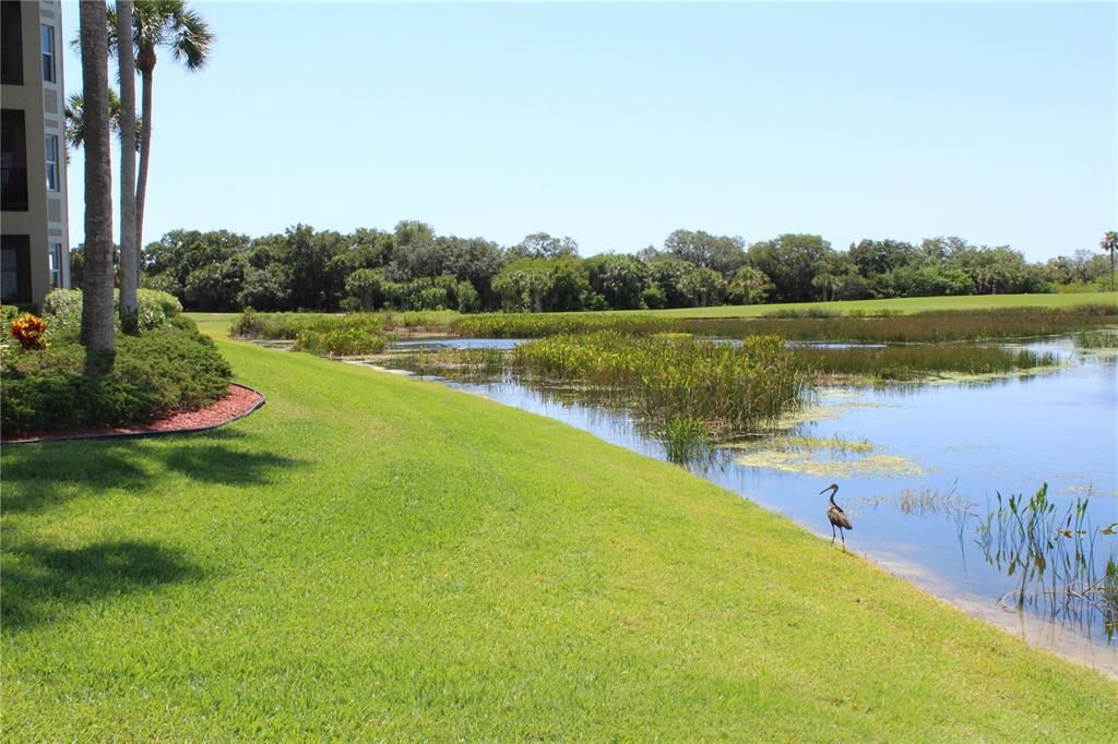 На продажу: $274,900 (2 спален, 2 ванн, 1121 Квадратных фут)