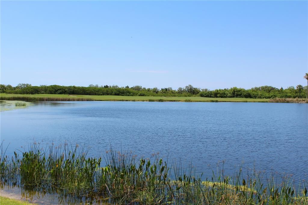 На продажу: $274,900 (2 спален, 2 ванн, 1121 Квадратных фут)