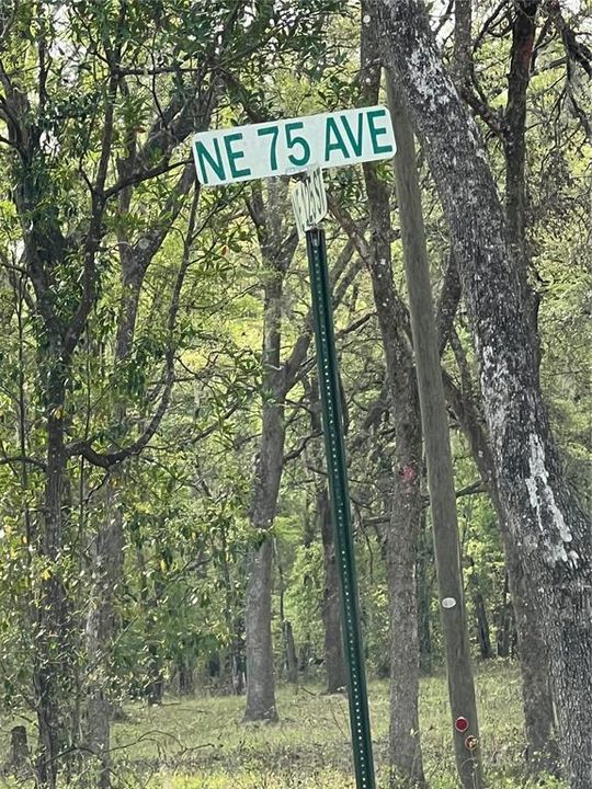 For Sale: $25,000 (1.25 acres)