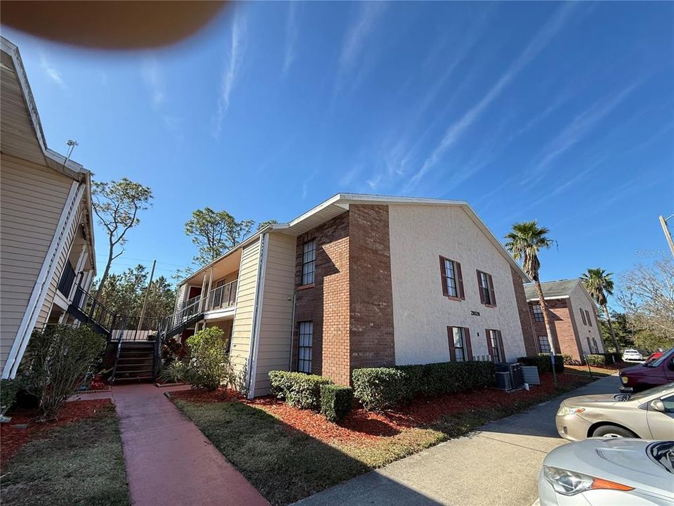 最近租的: $1,600 (2 贝兹, 1 浴室, 800 平方英尺)