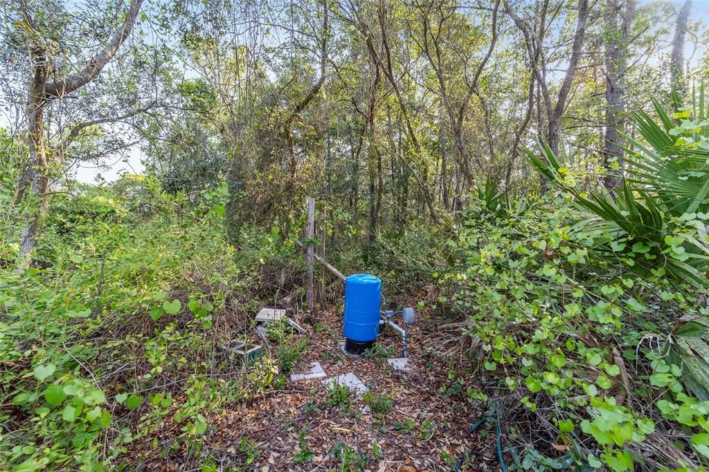 En Venta: $520,000 (39.31 acres)