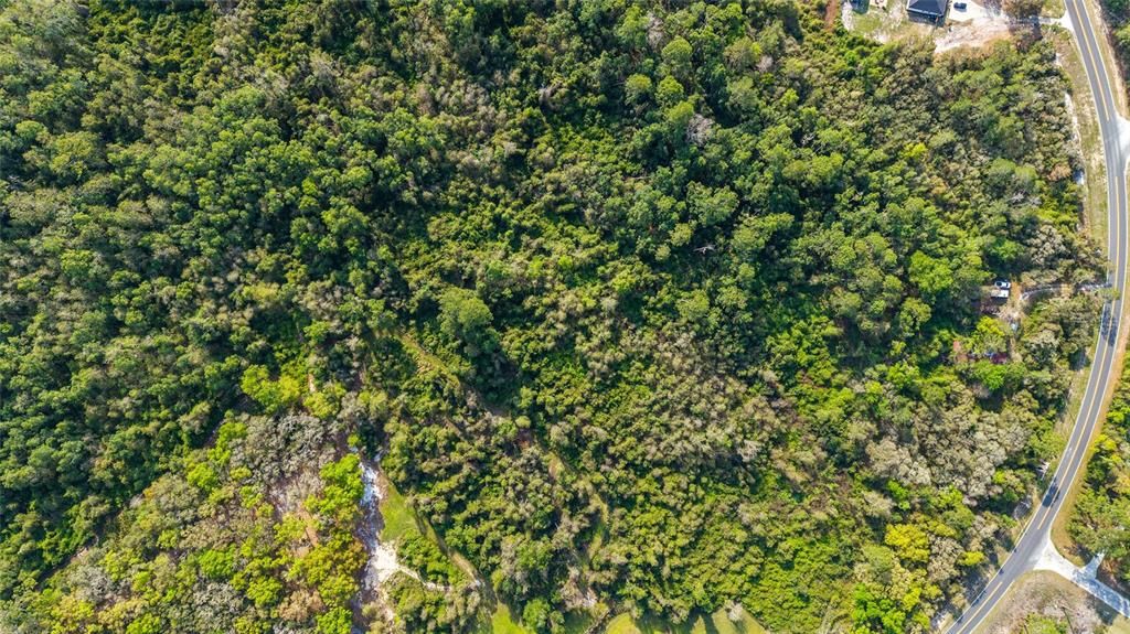 En Venta: $520,000 (39.31 acres)