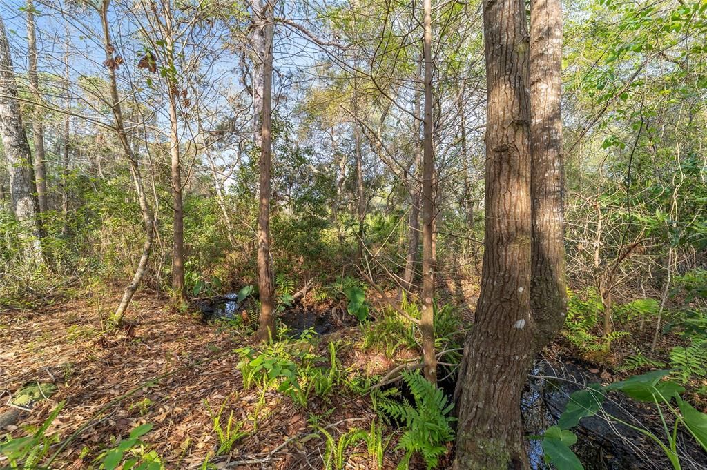 En Venta: $520,000 (39.31 acres)