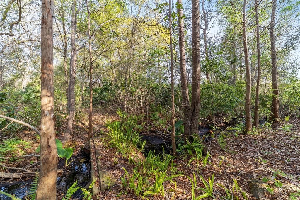 En Venta: $520,000 (39.31 acres)