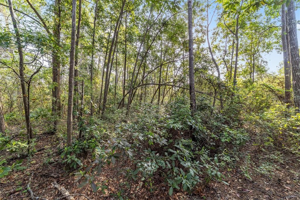 En Venta: $520,000 (39.31 acres)