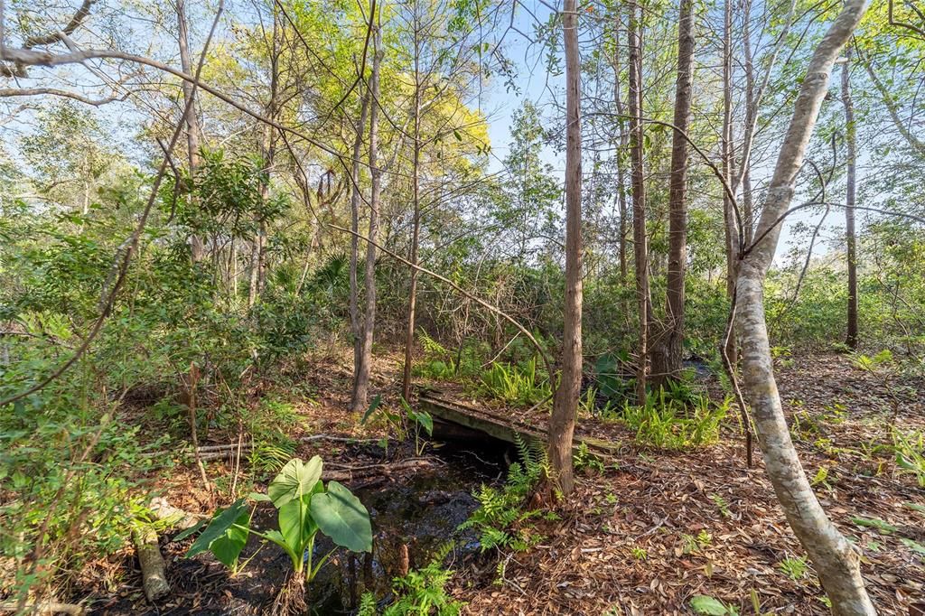 En Venta: $520,000 (39.31 acres)