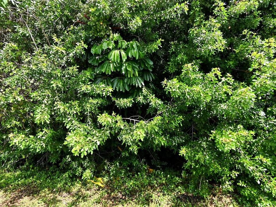 Vendido Recientemente: $78,000 (0.23 acres)