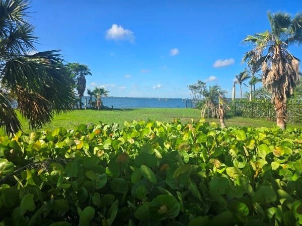 На продажу: $685,000 (1.24 acres)