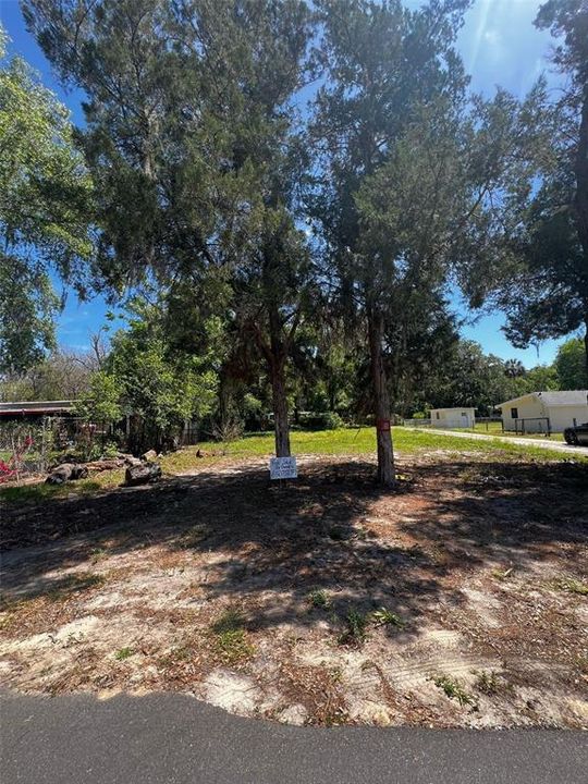 For Sale: $23,999 (0.21 acres)