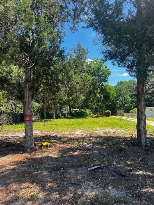 For Sale: $23,999 (0.21 acres)