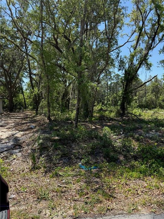 En Venta: $28,500 (0.24 acres)