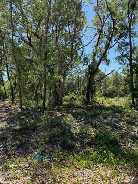 En Venta: $28,500 (0.24 acres)