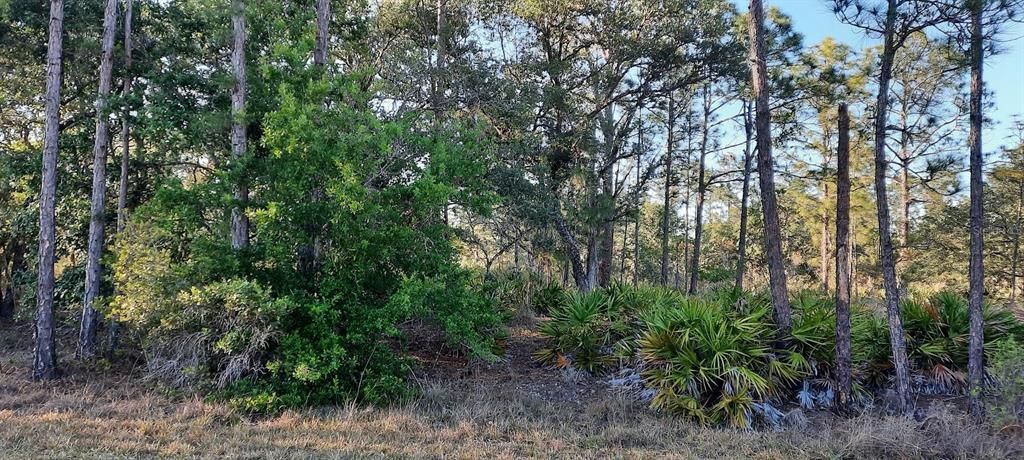 待售: $12,000 (0.50 acres)