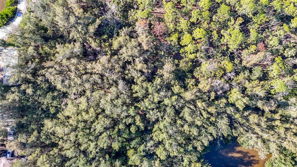 En Venta: $122,000 (3.30 acres)