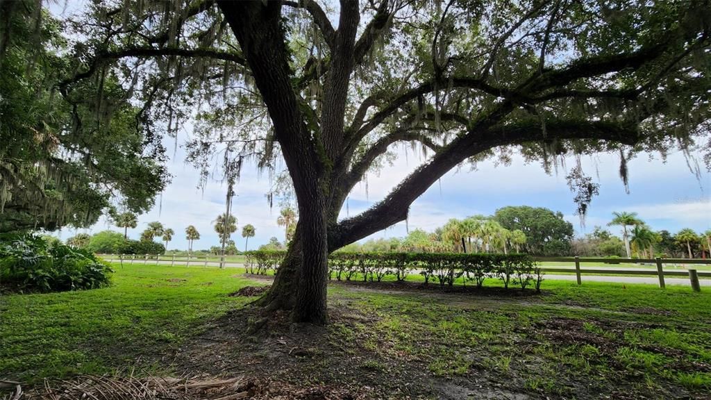 For Sale: $289,000 (0.09 acres)