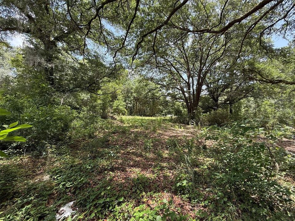 Recently Sold: $16,900 (0.52 acres)