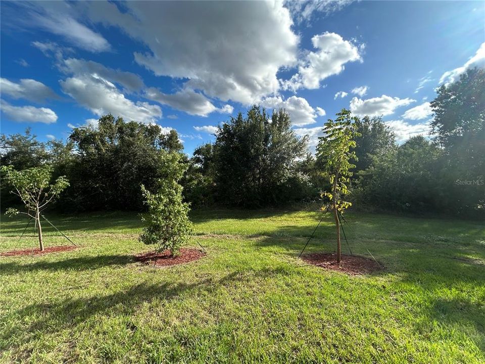 合同活跃: $375,300 (4 贝兹, 2 浴室, 2169 平方英尺)