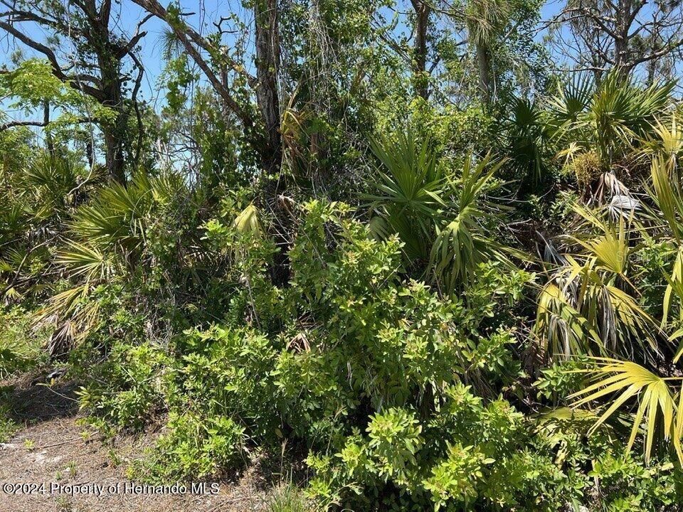 待售: $33,000 (0.27 acres)