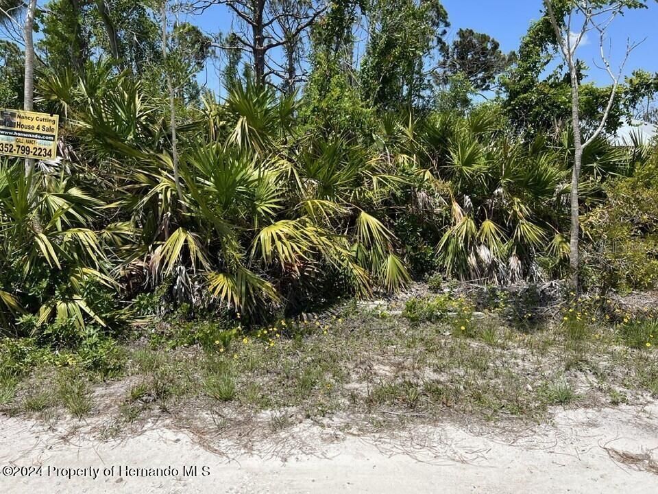 待售: $33,000 (0.27 acres)