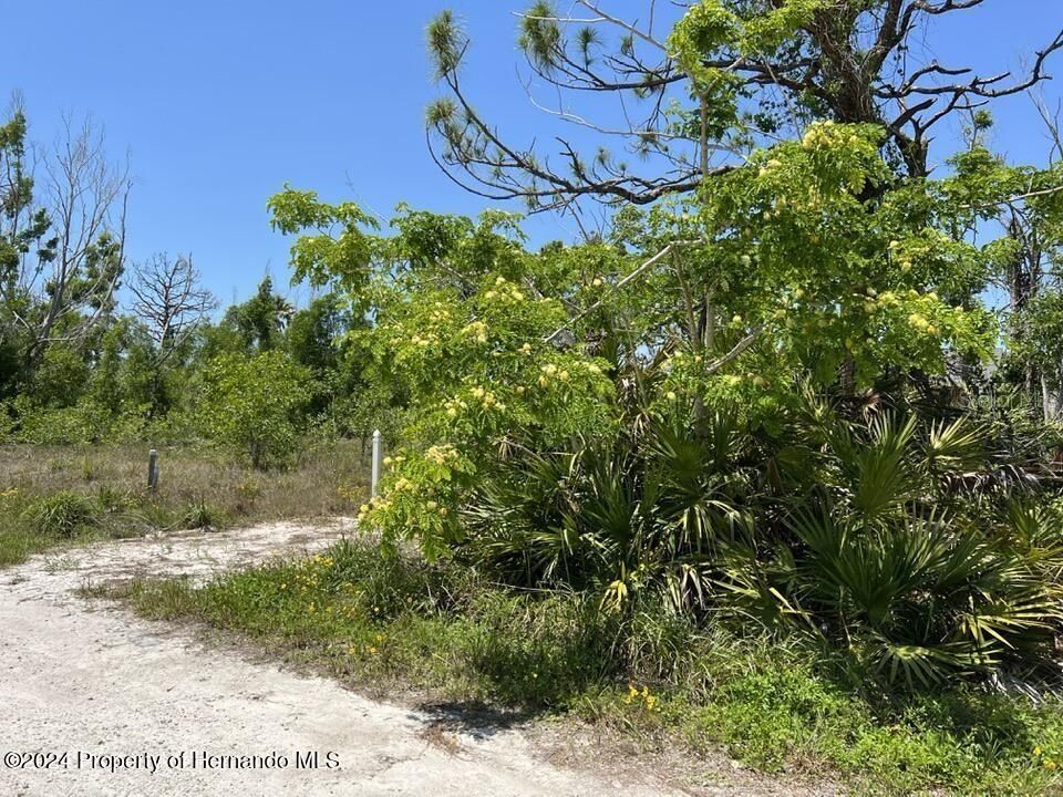 待售: $33,000 (0.27 acres)