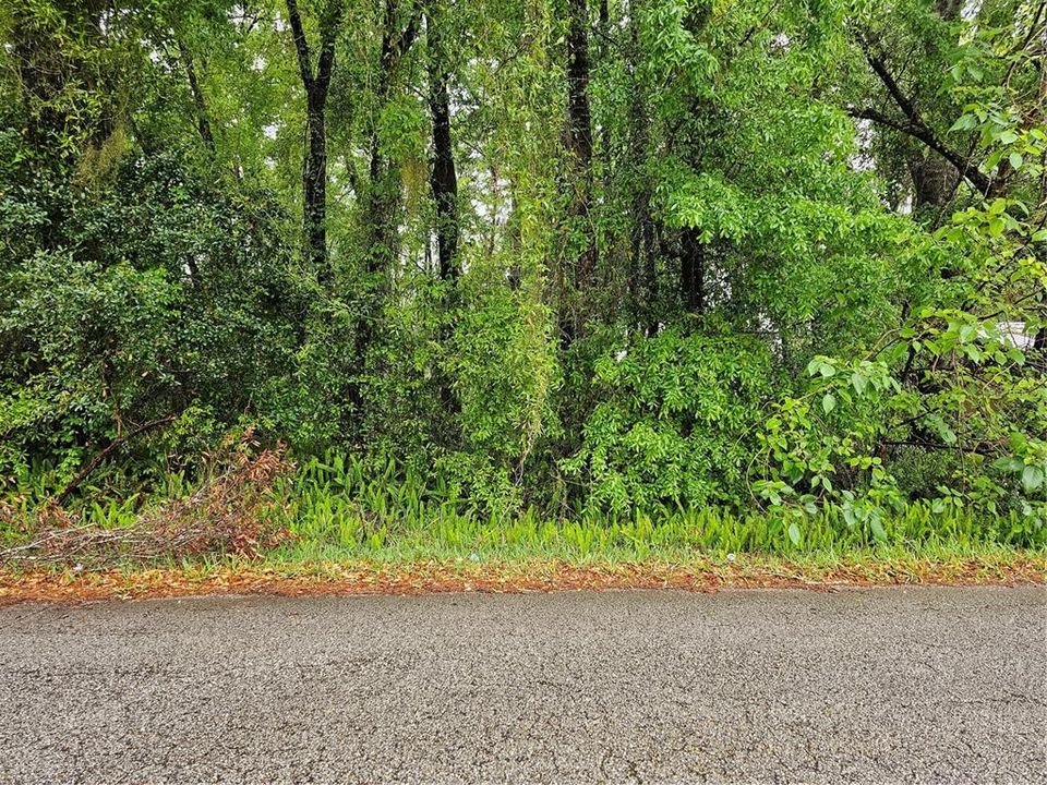 For Sale: $39,900 (0.24 acres)