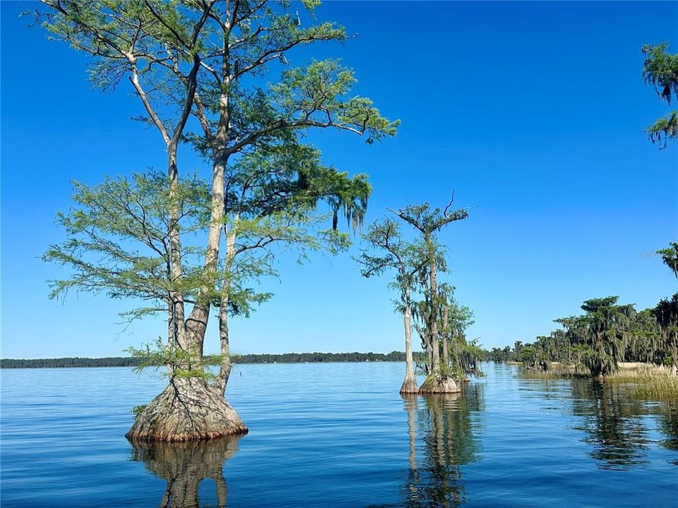 For Sale: $464,900 (3 beds, 2 baths, 1594 Square Feet)