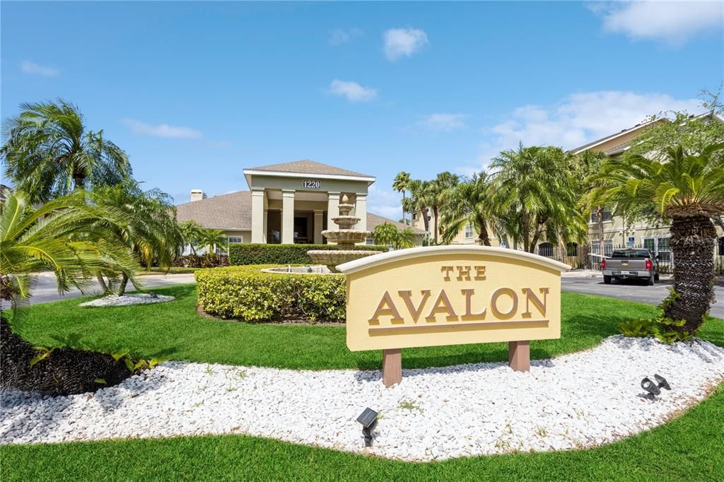 Welcome to the Avalon