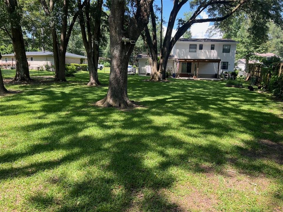 Back Yard