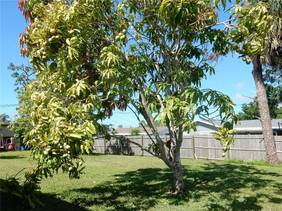 На продажу: $239,000 (3 спален, 2 ванн, 1641 Квадратных фут)