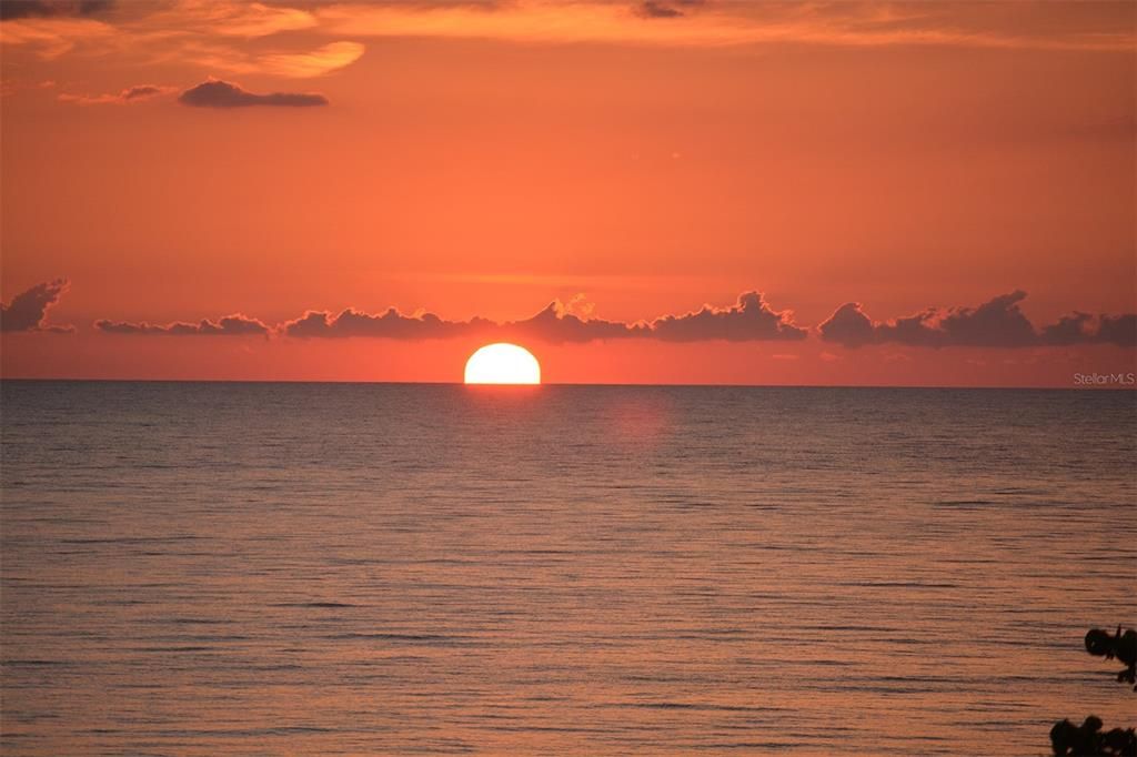 待售: $15,000,000 (5 贝兹, 5 浴室, 4925 平方英尺)