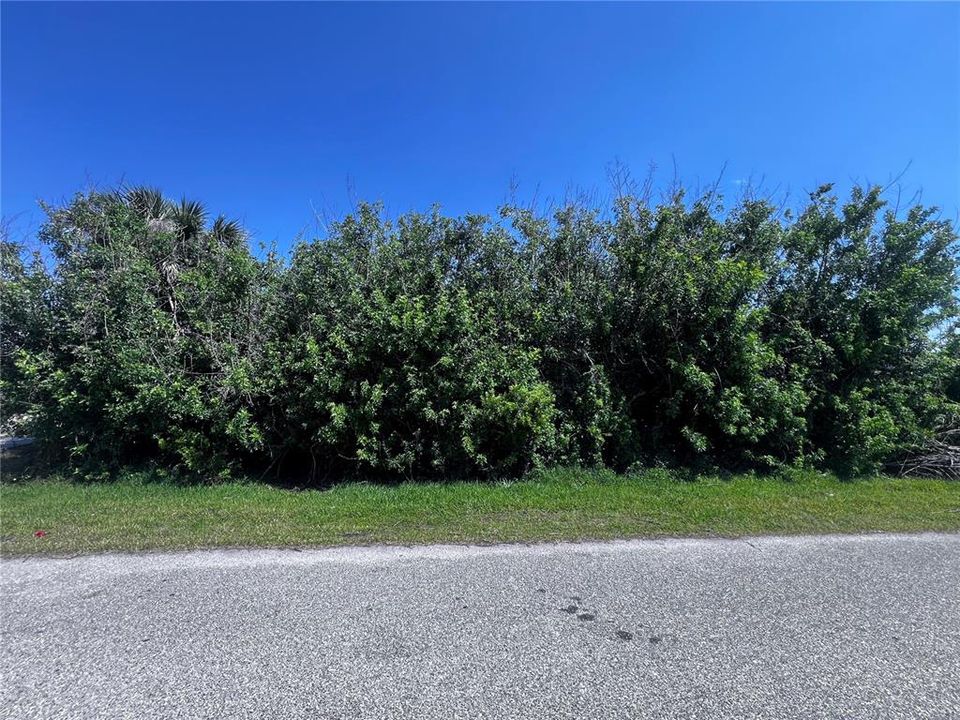 For Sale: $55,000 (0.23 acres)