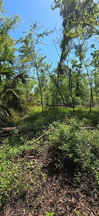 待售: $89,000 (2 贝兹, 1 浴室, 696 平方英尺)