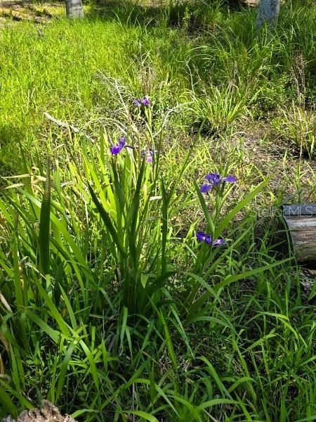 待售: $89,000 (2 贝兹, 1 浴室, 696 平方英尺)