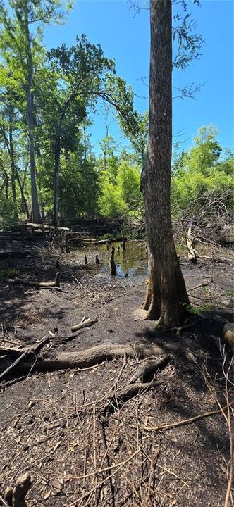 待售: $89,000 (2 贝兹, 1 浴室, 696 平方英尺)