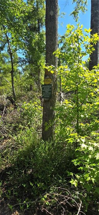 待售: $89,000 (2 贝兹, 1 浴室, 696 平方英尺)