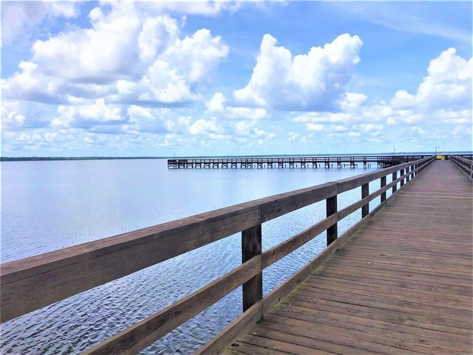 For Sale: $18,500 (0.50 acres)