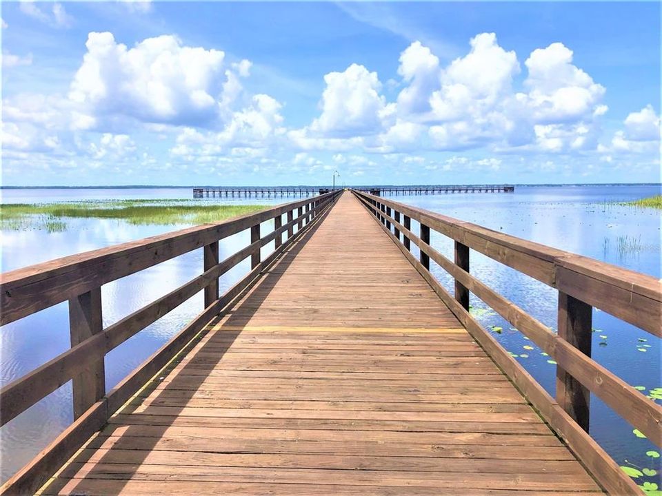 For Sale: $18,500 (0.50 acres)