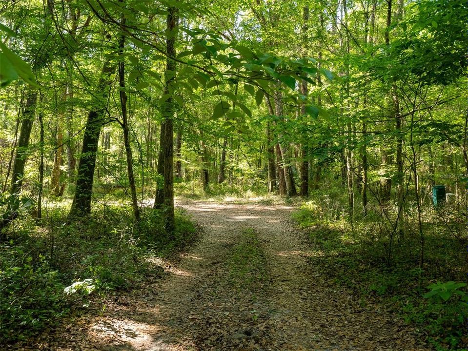 For Sale: $2,886,950 (3 beds, 1 baths, 1954 Square Feet)