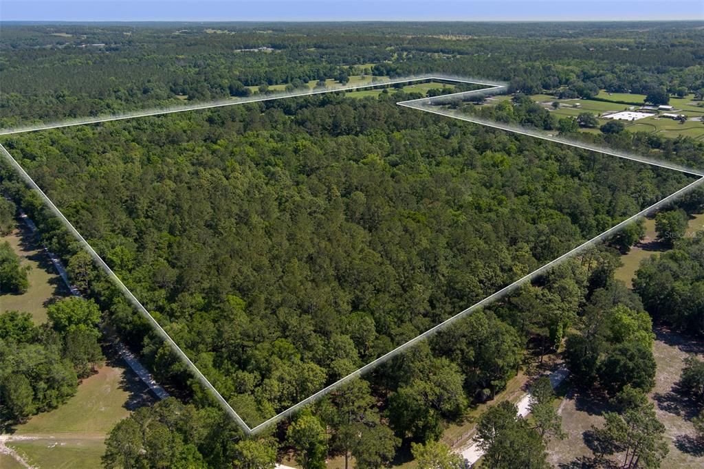 For Sale: $2,886,950 (3 beds, 1 baths, 1954 Square Feet)